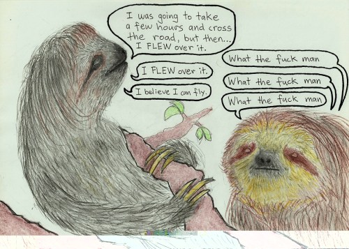 A tale of two sloths